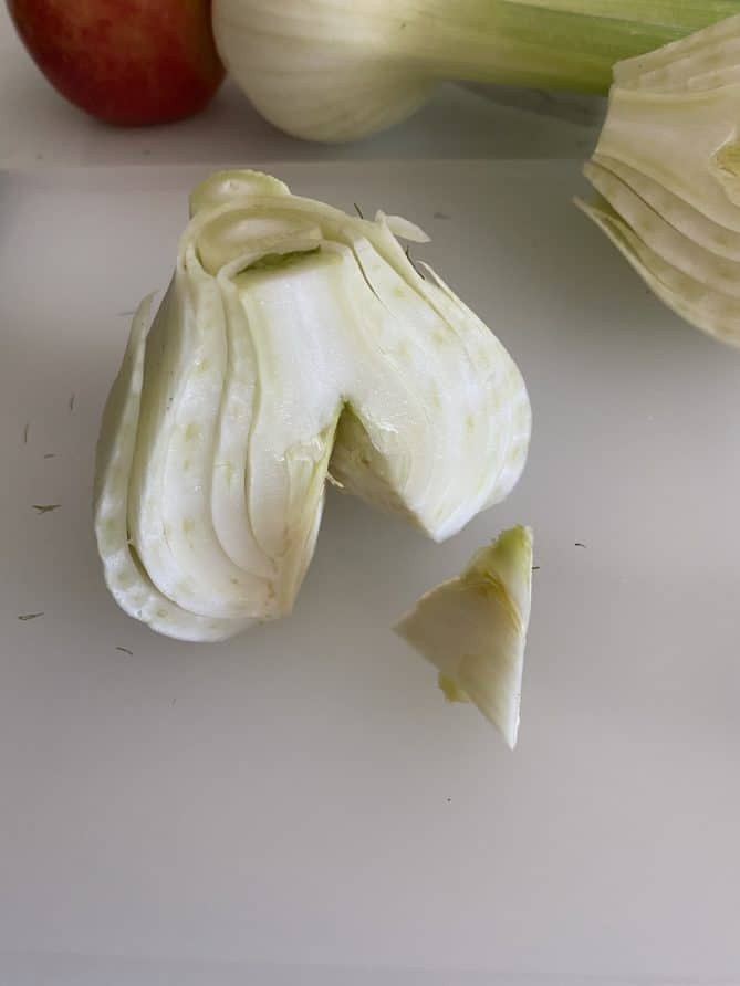 A bulb of fennel with the hard center cut out