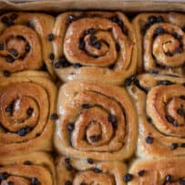 A closeup of square/round Chelsea buns that look like cinnamon rolls in a pan