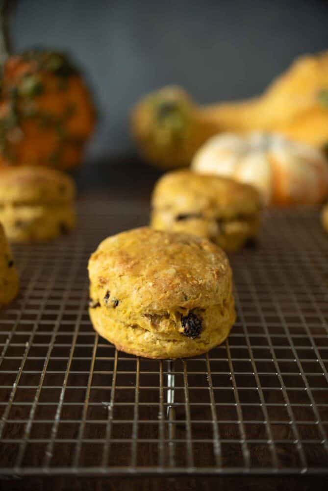 A pumpkin scone cooling on a wire rack
