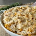 Rigatoni pasta mixed with sweet potato sauce baked with a breadcrumb topping