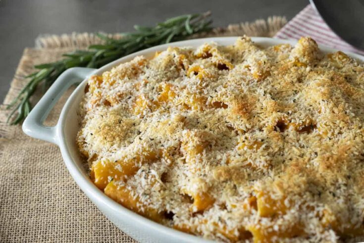 Rigatoni pasta mixed with sweet potato sauce baked with a breadcrumb topping