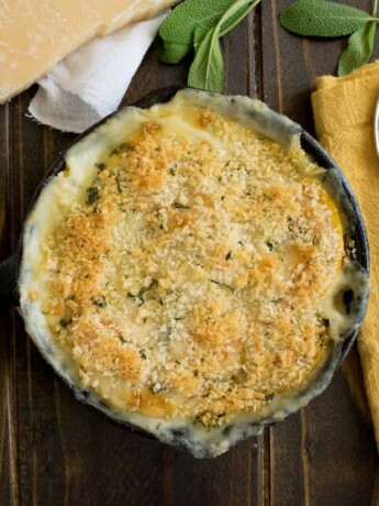 An overhead view of butternut squash gratin