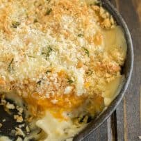 The inside of butternut squash gratin showing the bright orange squash and creamy cheese sauce