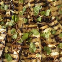 A close-up of grilled aubergine/eggplant with green coriander/cilantro leaves