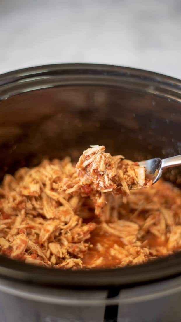 Using a fork to shred chicken in a crockpot