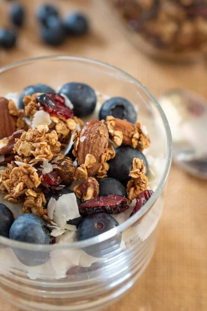 Yogurt topped with granola, nuts, blueberries and dried cranberries