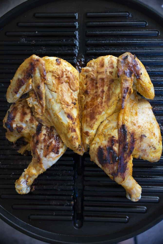 A spatchcock cut chicken on the grill