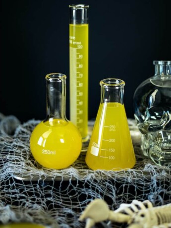 Science beakers are used as serving vessels for Halloween Scorpion Venom Punch