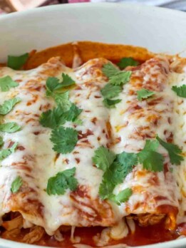 Chicken enchiladas in a baking pan with melted cheese and cilantro