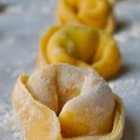 Fresh tortellini lined up in a row