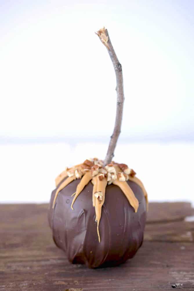 An apple with a thick dark coating with caramel on top and chopped pecans