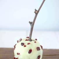 White chocolate coated apple studded with dried cranberries