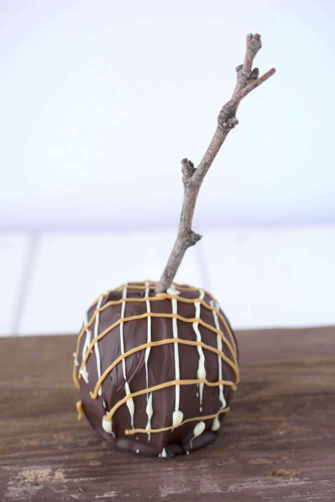 Caramel and white chocolate making a diamond pattern on a dark chocolate covered apple