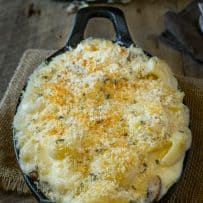 A browned and crispy panko topping on mushroom sage mac and cheese
