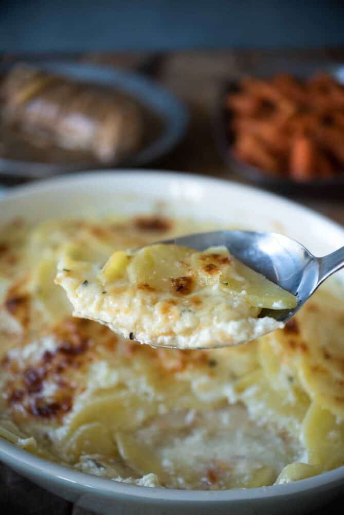 A spoon full of cheesy and creamy potatoes