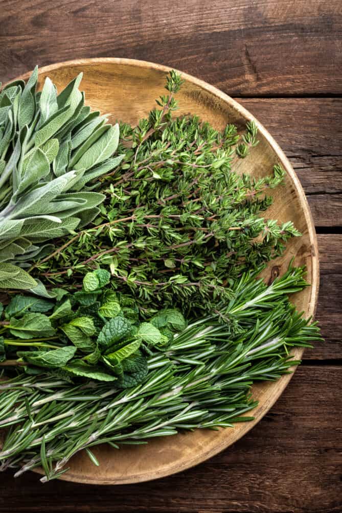 Bunches of fresh rosemary, thyme, mint and sage on a round wooden plate