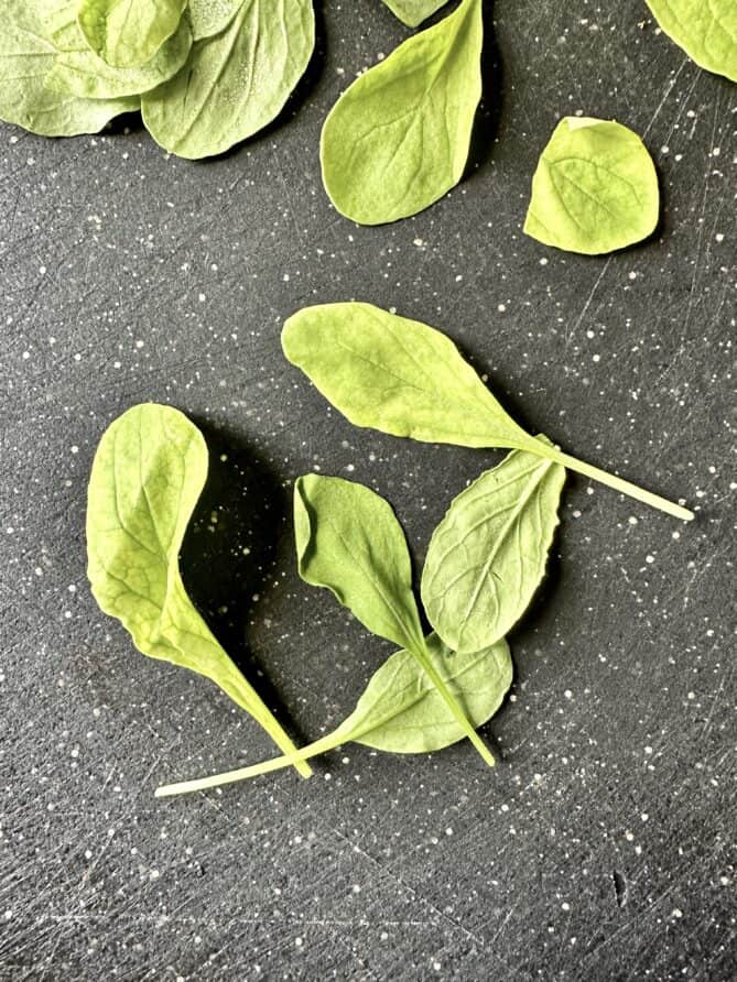 Baby arugula leaves