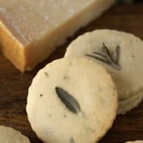 Herb and Parmesan shortbread round crackers with cheese