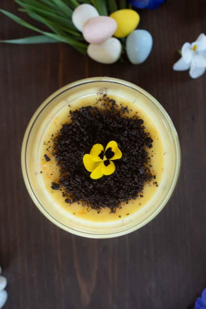 Orange custard viewed from overhead with a yellow pansy on top