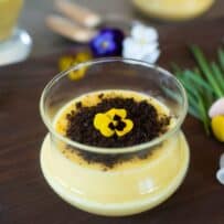 Spring orange custard served in a glass bowl topped with Oreo crumbs and an edible flower